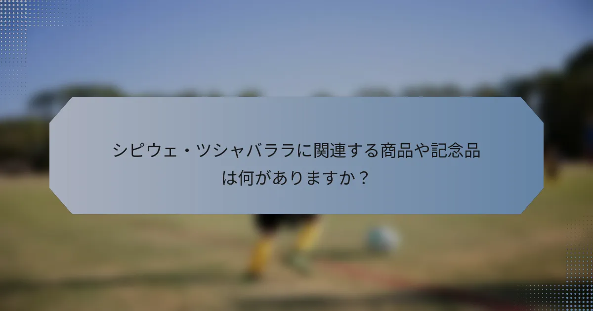 シピウェ・ツシャバララに関連する商品や記念品は何がありますか？