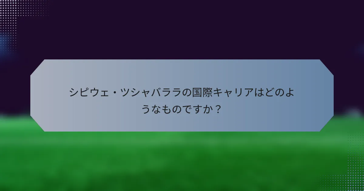 シピウェ・ツシャバララの国際キャリアはどのようなものですか？