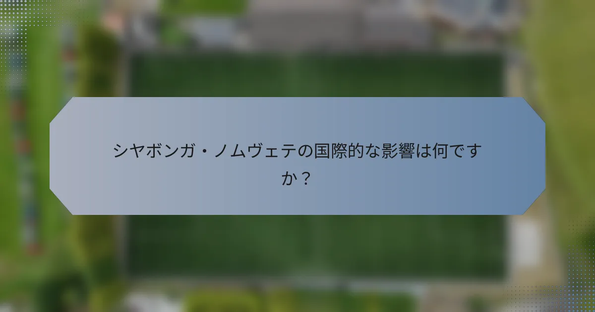 シヤボンガ・ノムヴェテの国際的な影響は何ですか？