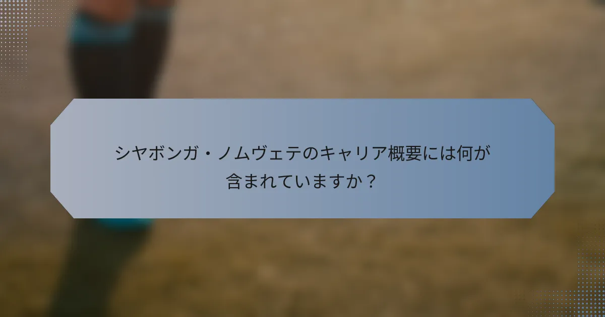 シヤボンガ・ノムヴェテのキャリア概要には何が含まれていますか？